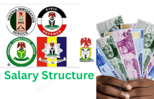 NSCDC Salary Structure 2025: Civil Defense, Immigration Service Monthly Pay Scale Nigeria
